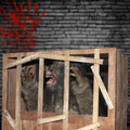 animatronic werewolf monster roaring through broken wooden wall in haunted house