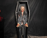 Coffin Ghost | Core Horror Prop for Haunted Houses & Escape Rooms-G205