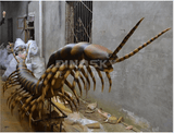 animatronic centipede monster for haunted house and horror lab

