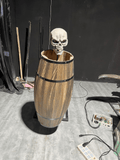 DS-QDGW-099 Simulated haunted house equipment