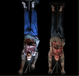 Life-size Half-Body Double Zombie Moving Ghost Model with Sound Effect for Halloween Event DINOSKY