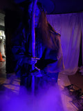 Poison Witch | Dark Magic Themed Horror Prop-G165