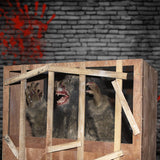 Roaring Werewolf Animatronic Behind Cracked Wooden Wall