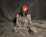 Thriller Warning | Simulated Half-Body Skeleton-G199