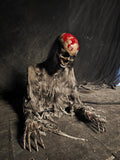 Thriller Warning | Simulated Half-Body Skeleton-G199